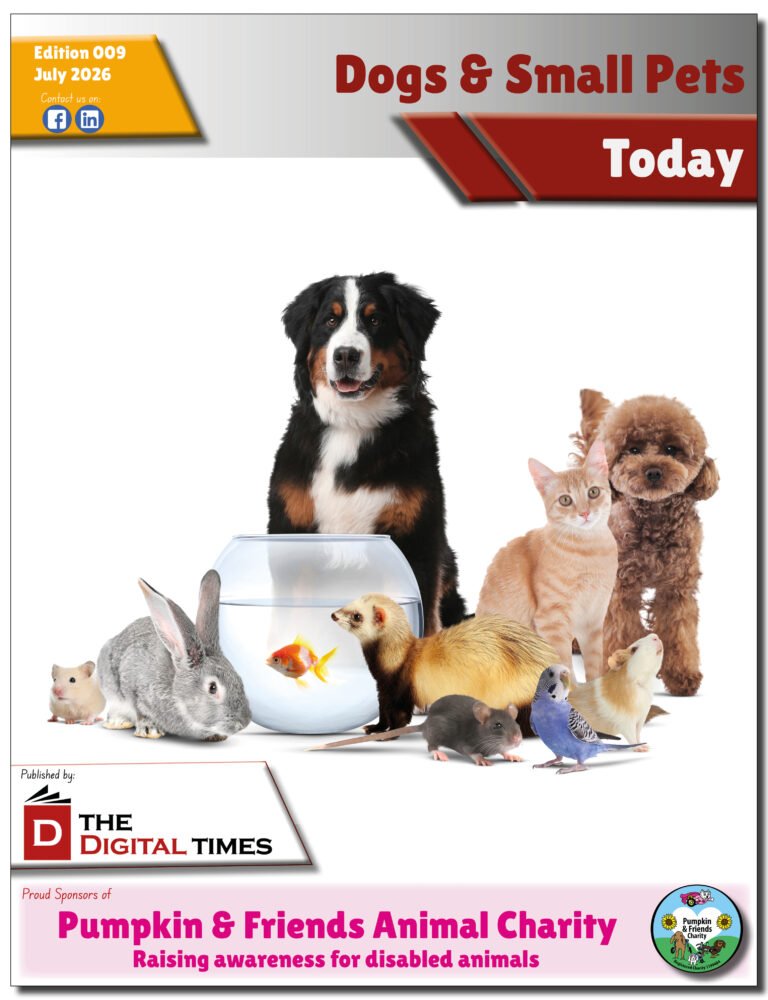 Dogs & Small Pets Today 009 fc effects